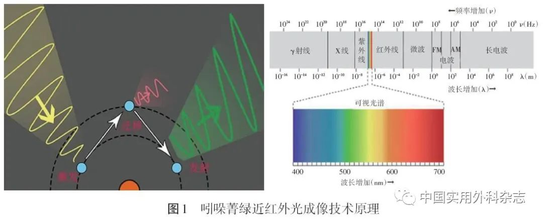 微信图片_20241129085222.png